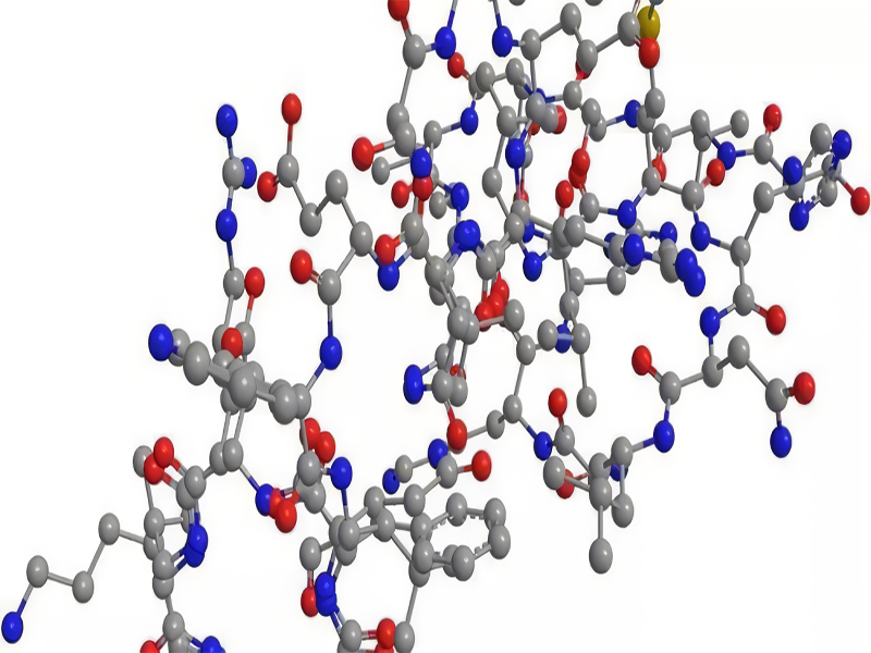 Muskeln aufbauen: Werden Sie Protein oder Peptide wählen?