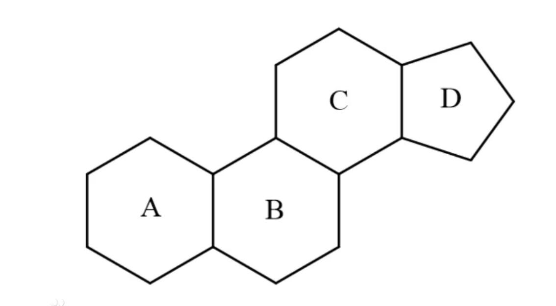 “Esteroides”, “esteroides anabólicos” Y “esteroides anabólico-androgénicos”