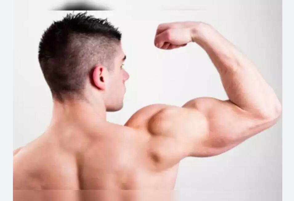 Oxymetholone dosage and half-life for bodybuilder