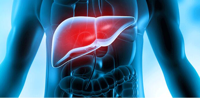 AAS Effects on the liver