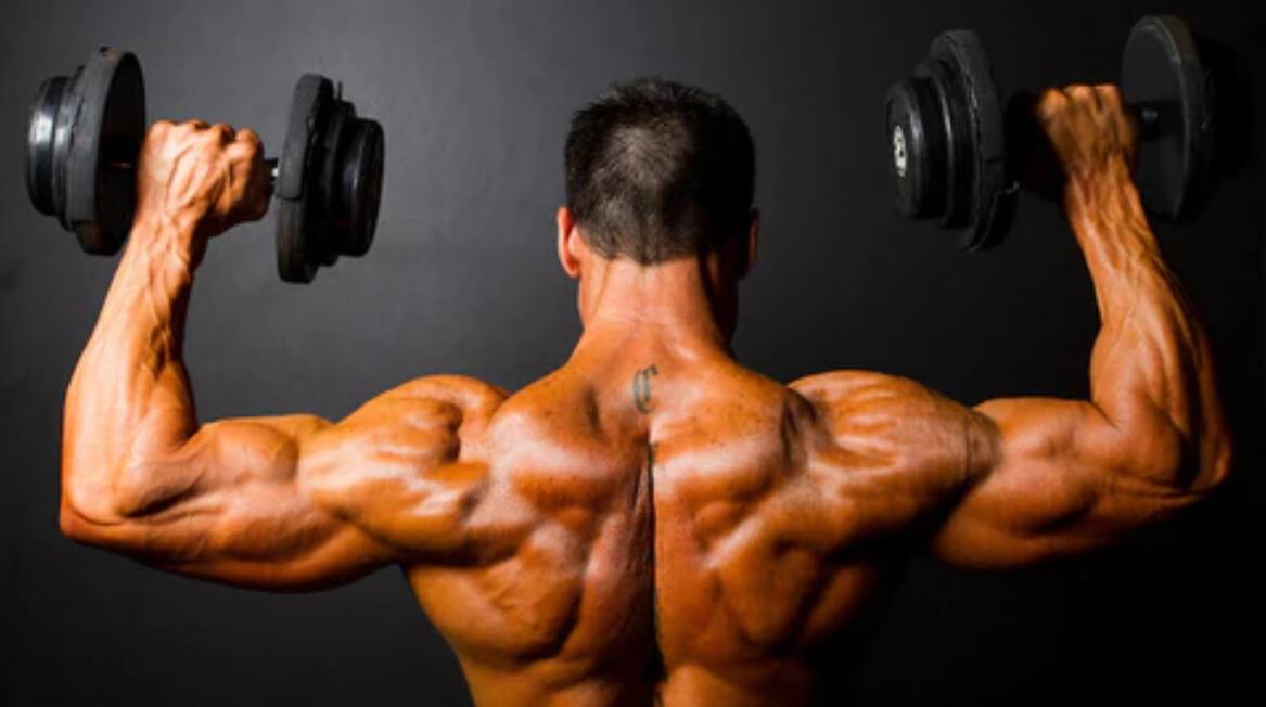 AAS Stanozolol benefits for bodybuilders review