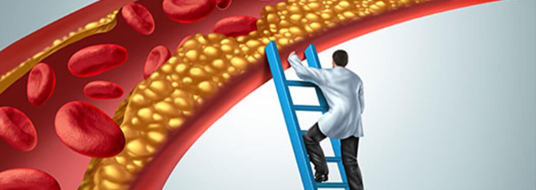 AAS anabole-androgene Steroide Nebenwirkungen