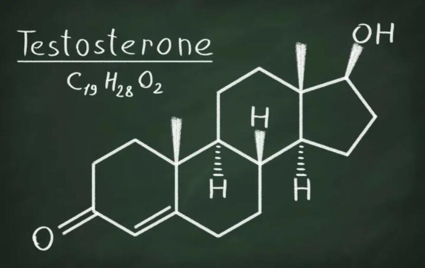 Die Produktion von Testosteron bei Männern und Frauen