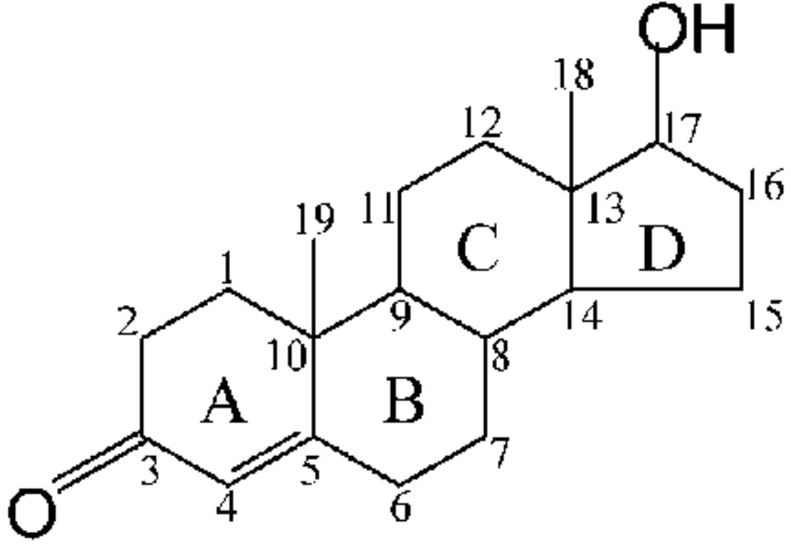 Estructura química y función de la testosterona