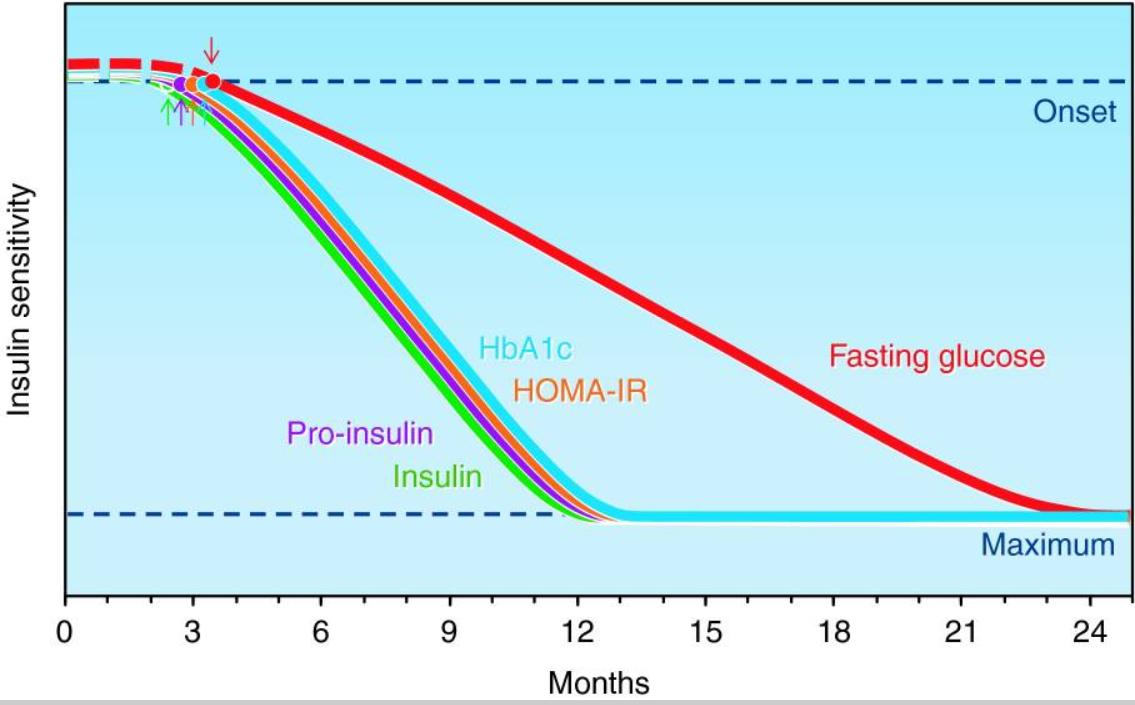 Testosterone’s Dual Power: Unraveling its Role on Muscle Growth and Fat Reduction