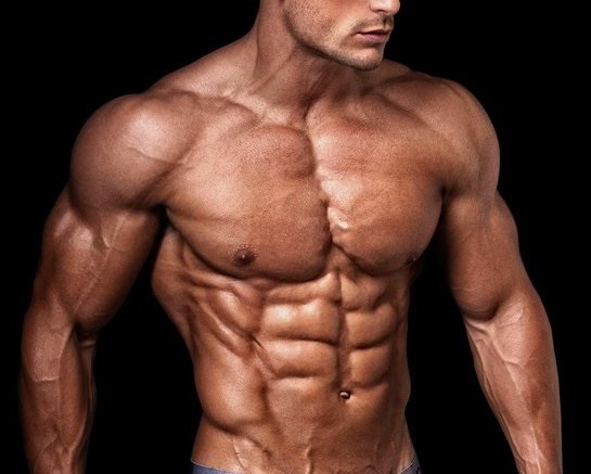 Anabolism and muscle building for bodybuilders